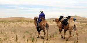 Peace Corps Mongolian to English Dictionary - Image